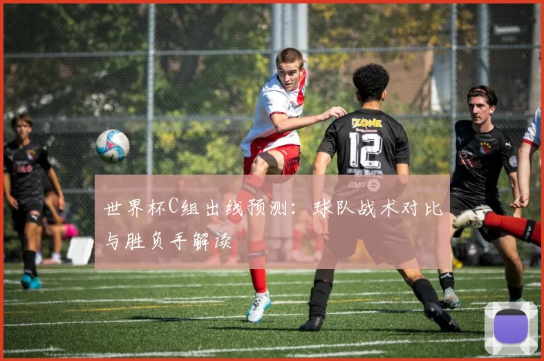 世界杯C组出线预测：球队战术对比与胜负手解读