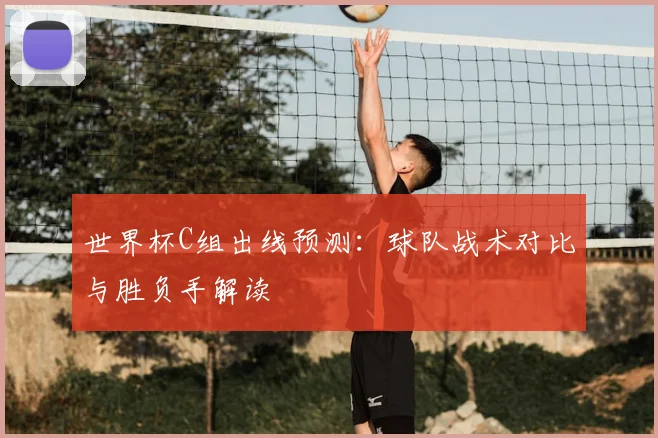 世界杯C组出线预测：球队战术对比与胜负手解读