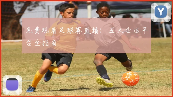 免费观看足球赛直播：五大合法平台全指南