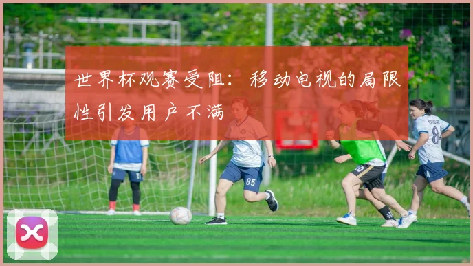 世界杯观赛受阻：移动电视的局限性引发用户不满