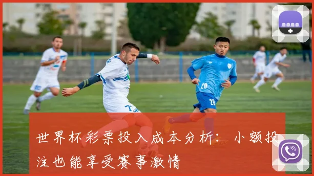 世界杯彩票投入成本分析:小额投注也能享受赛事激情