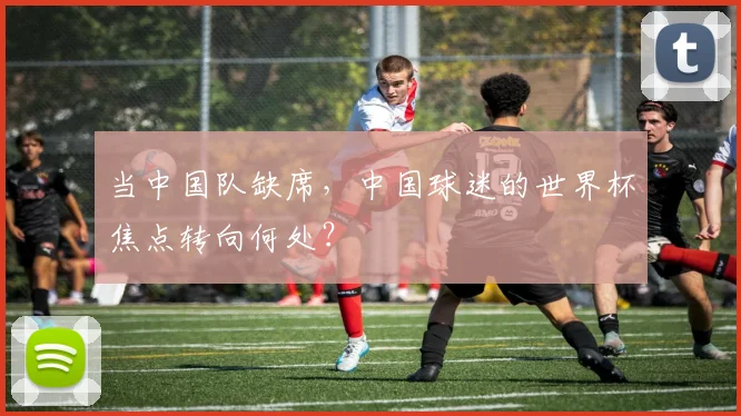 当中国队缺席,中国球迷的世界杯焦点转向何处?