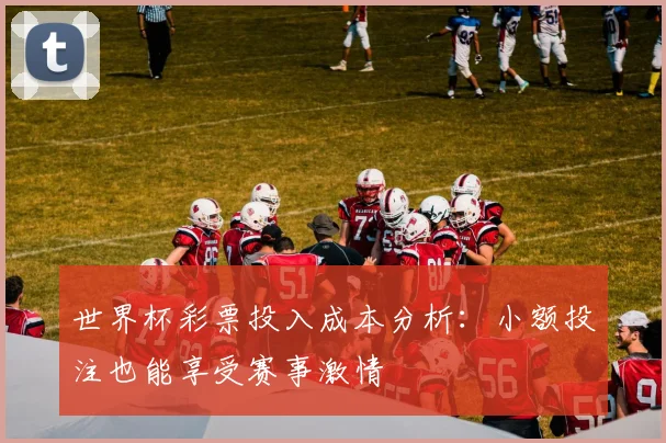 世界杯彩票投入成本分析:小额投注也能享受赛事激情