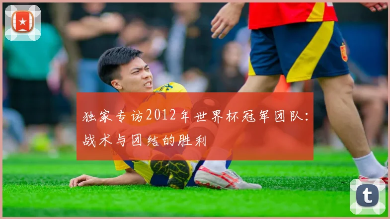 独家专访2012年世界杯冠军团队：战术与团结的胜利