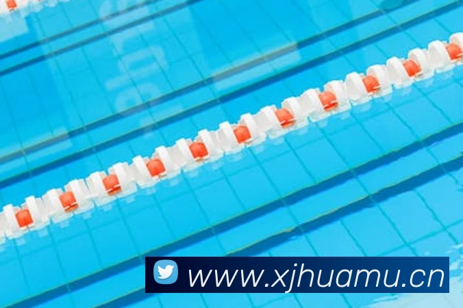 星空体育在线官网入口平台生态图