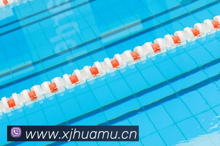 星空体育在线官网入口全站App